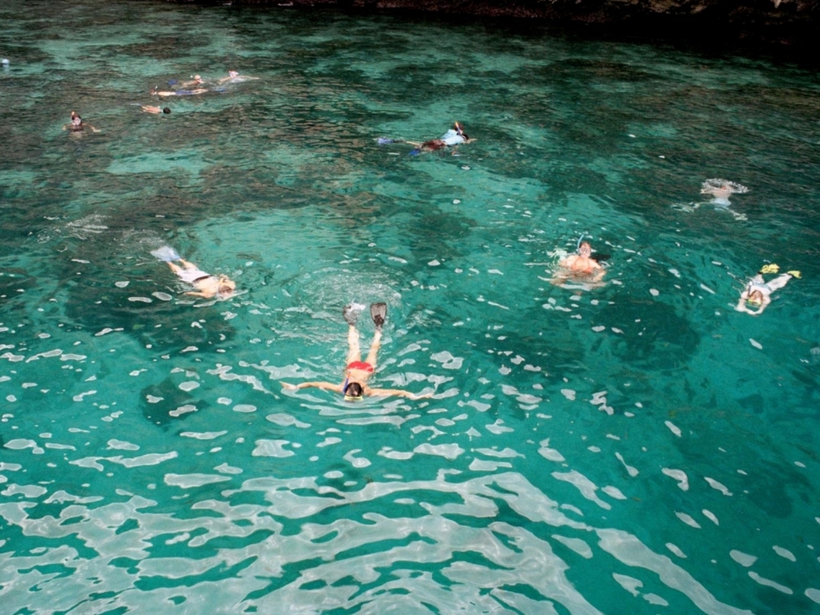 Snorkeling Phi Phi Tour