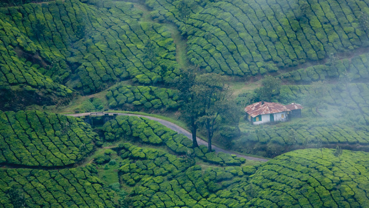 Munnar , Kerala