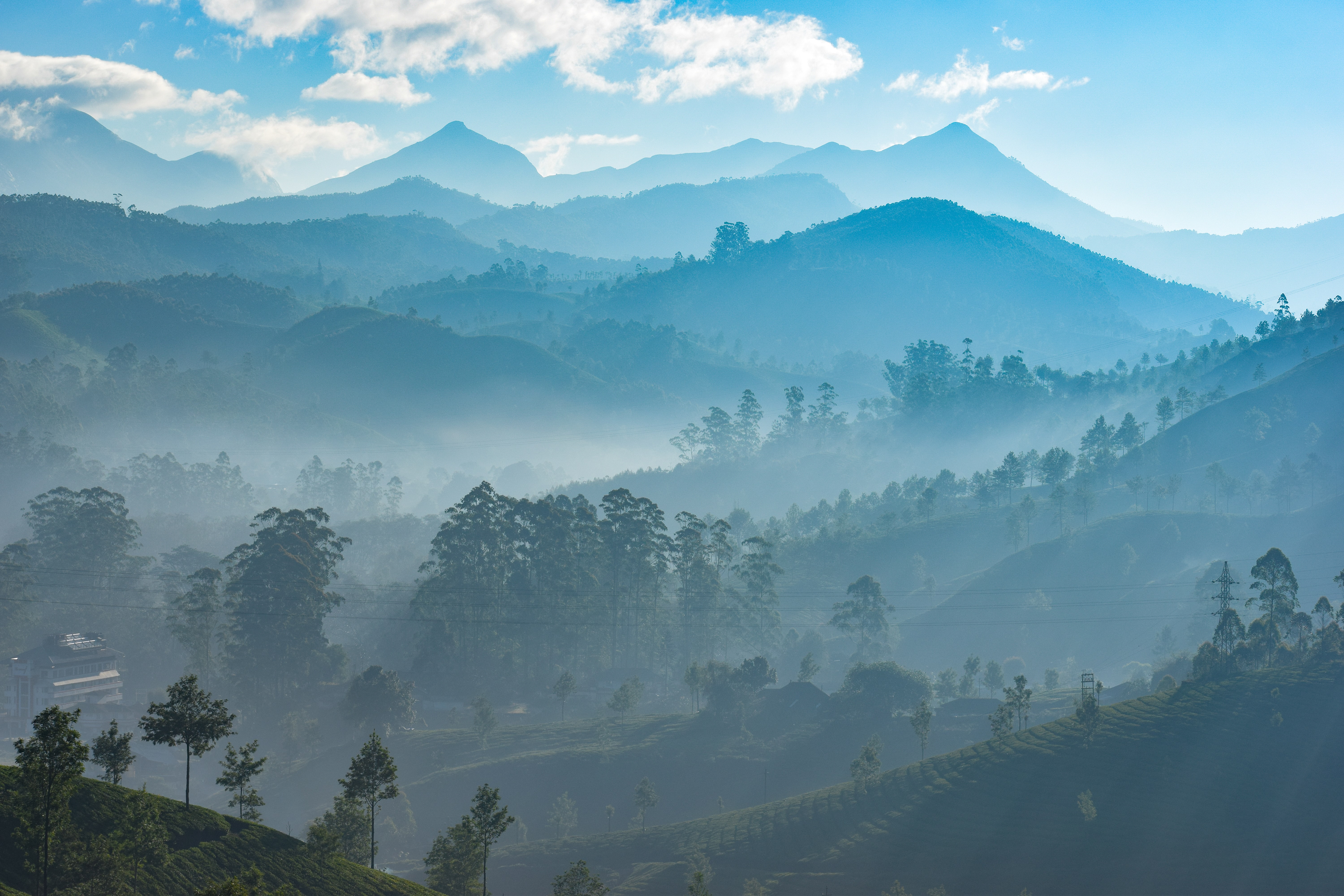 Munnar , Kerala