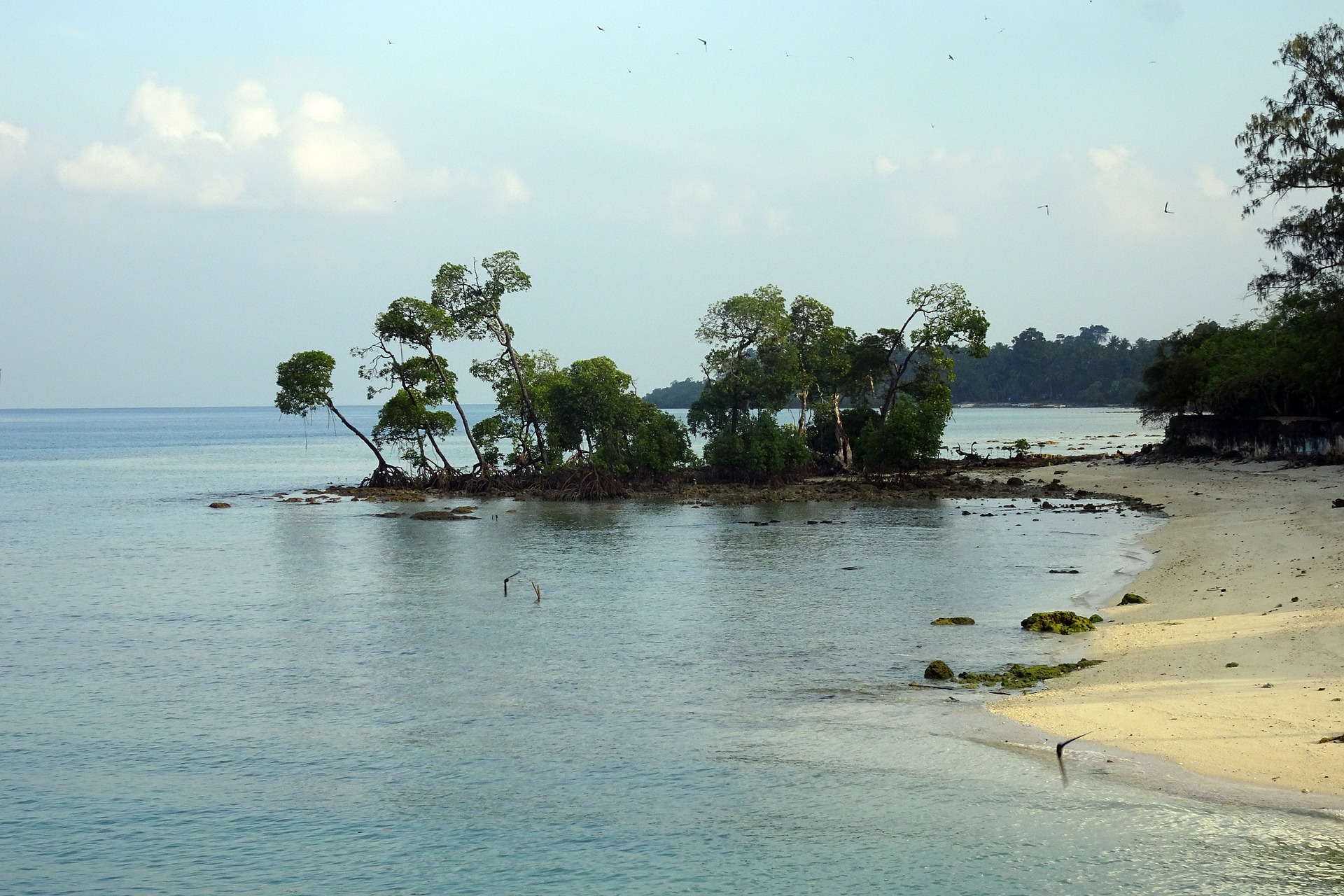 Elephant beach Havelock