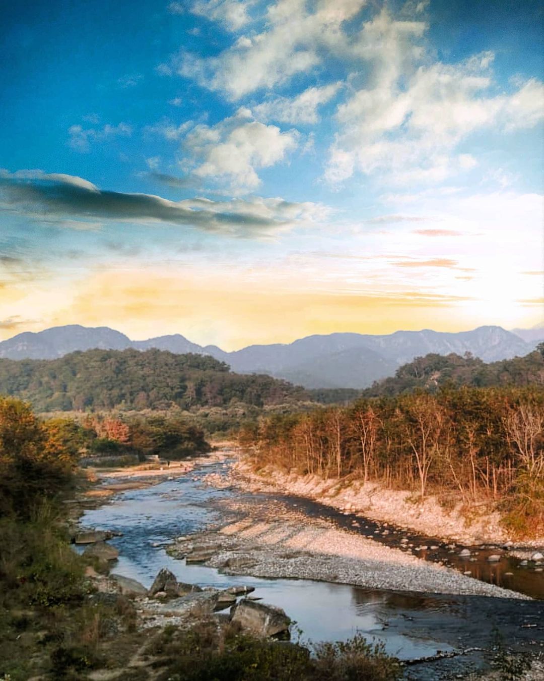 Jim Corbett National Park