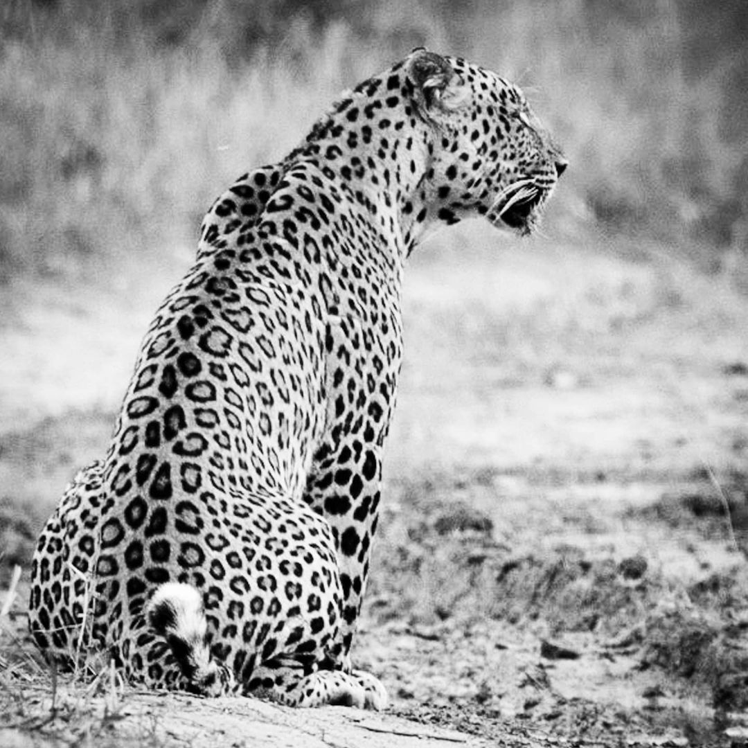 Rajaji National Park