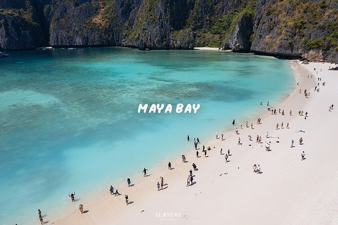 Maya Bay, Phi Phi Island