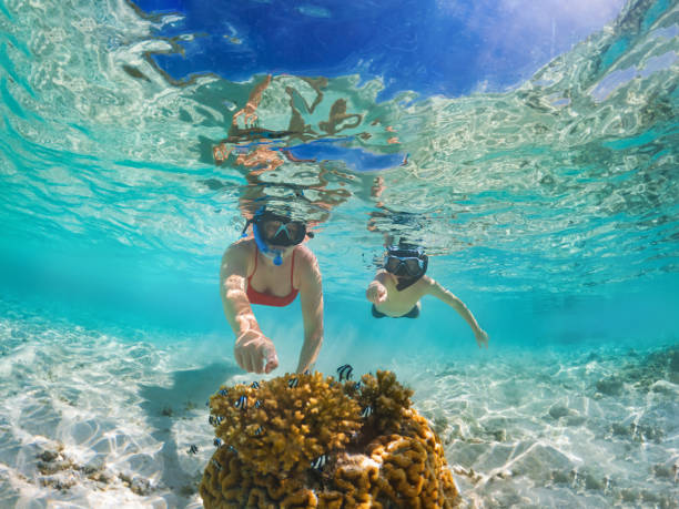 Snorkeling with colorful fish